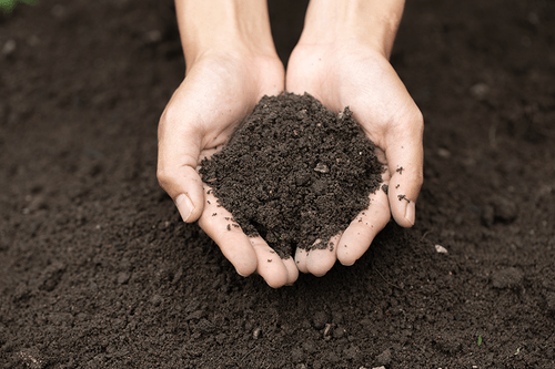 caldwell soil and composts